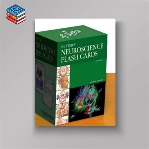 netters neuroscience flash cards 2e netter basic science PDF