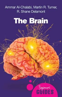 networks of the brain Ebook Doc