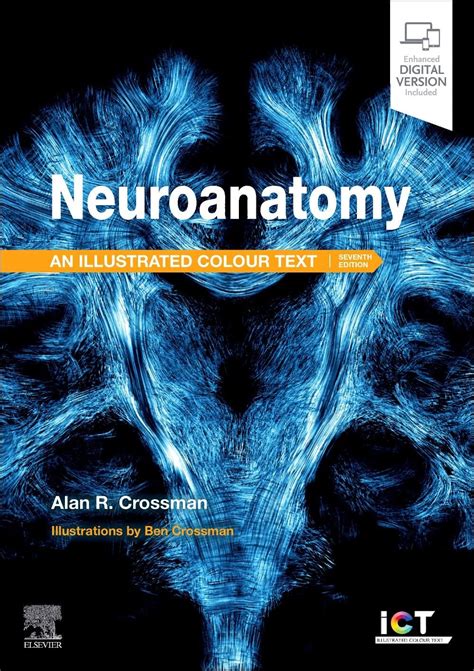 neuroanatomy an illustrated colour text Epub