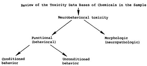 neurobehavioral toxicity neurobehavioral toxicity Epub