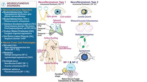 neurocutaneous disorders neurocutaneous disorders Epub