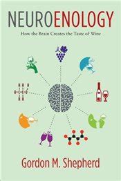 neurogastronomy how the brain creates flavor and why it matters Reader