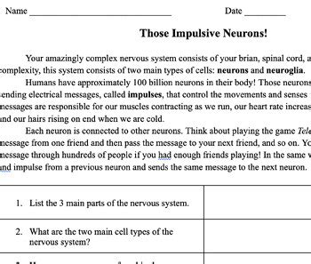 neuron worksheet for high school psychology