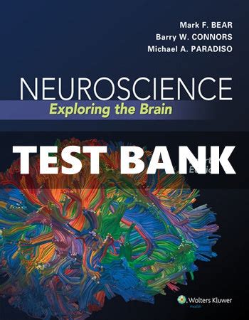 neuroscience bear test bank questions Epub