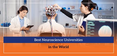 neuroscience best universities