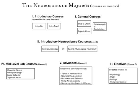 neuroscience bowdoin major