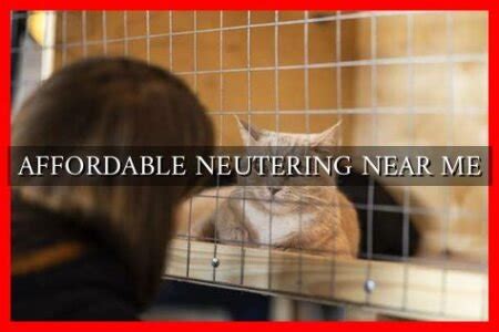 neuter services near me