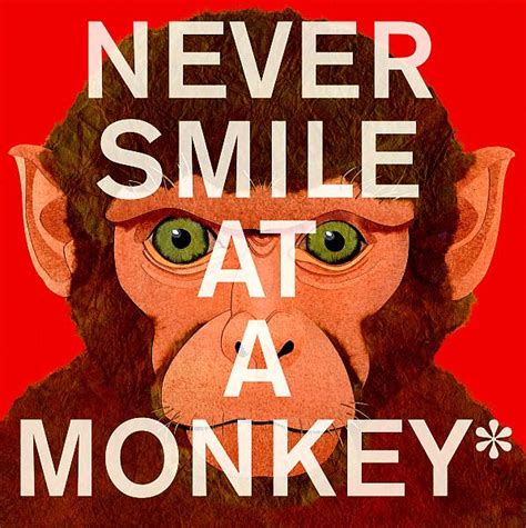 never smile at a monkey Ebook Epub