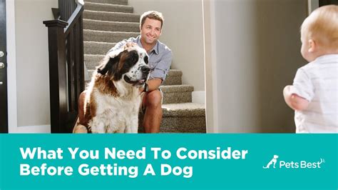 new dog owners guide Reader