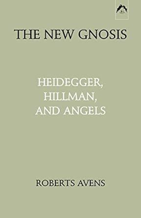 new gnosis heidegger hillman and angels Kindle Editon