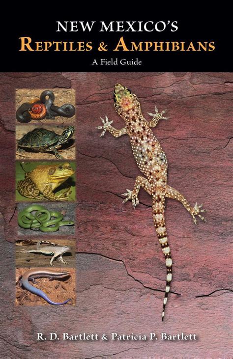 new mexicos reptiles and amphibians a field guide PDF