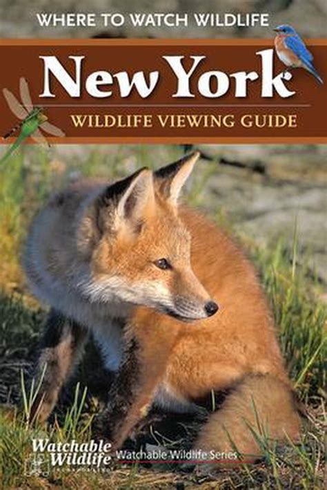 new york wildlife viewing guide watchable wildlife Reader