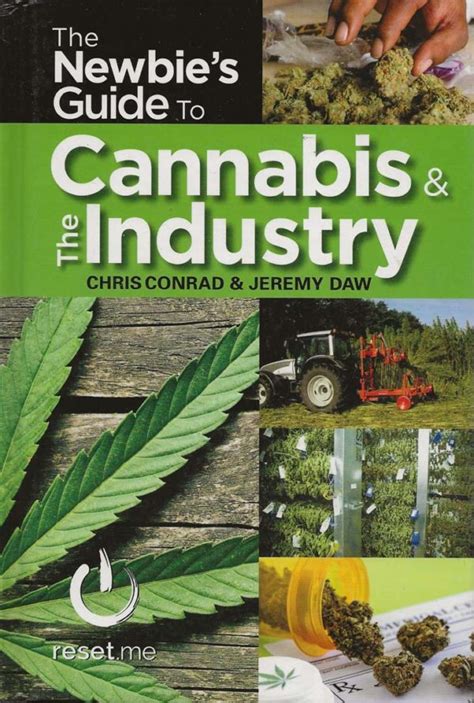 newbies guide cannabis industry Reader