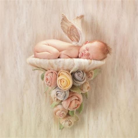 newborn anne geddes