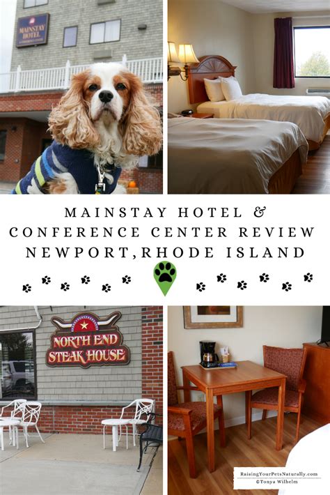 newport pet friendly hotels