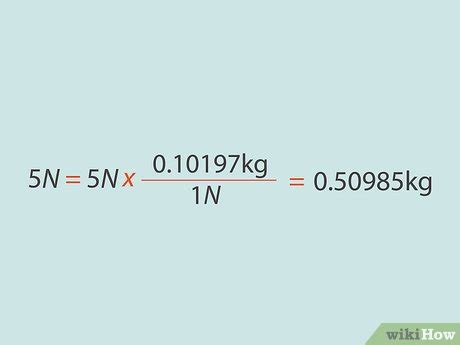 newton in kilogramm