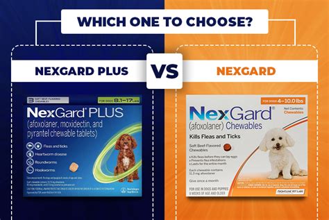 nexgard vs nexgard plus