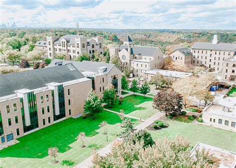 niagara university division