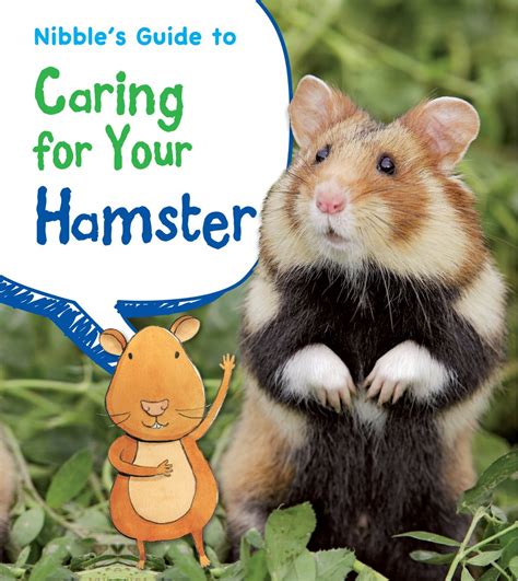 nibbles guide to caring for your hamster pets guides Doc