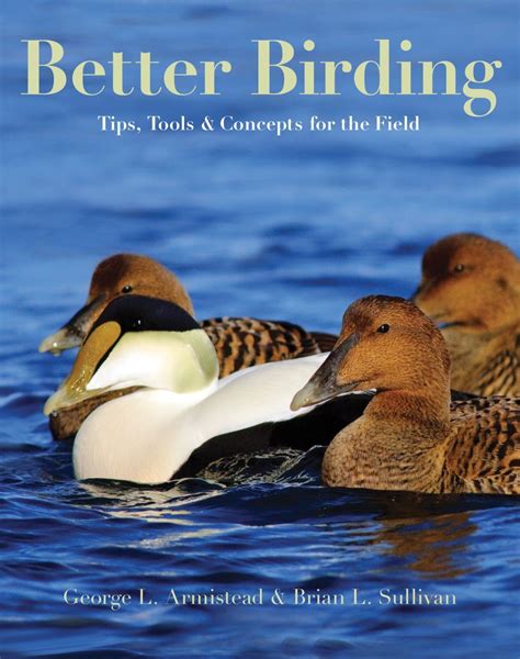 nice book better birding tools concepts field Kindle Editon