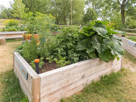 nice book building raised beds accessible vegetables Doc