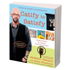 nice book catify satisfy solutions creating cat friendly PDF