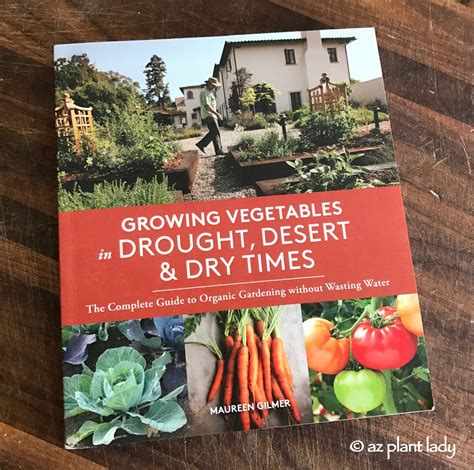 nice book growing vegetables drought desert times Epub