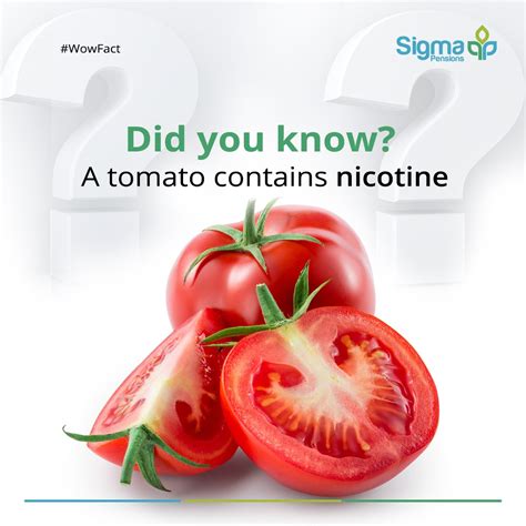 nicotine in tomatoes