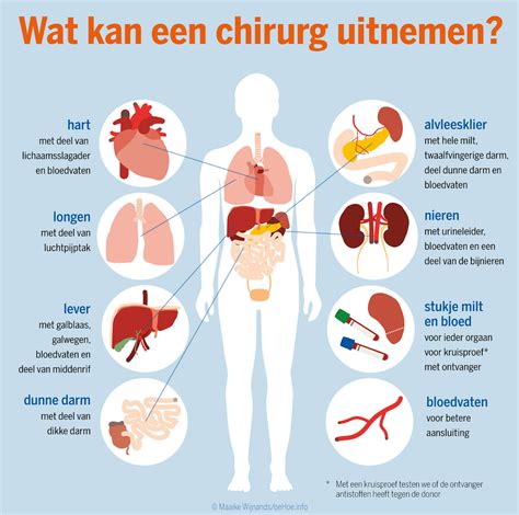 nieuw leven door transplantatie een orgaan afstaan wie beslist Doc