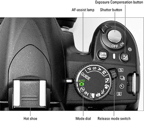 nikon d3100 flash guide number Doc