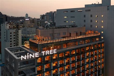 nine tree premier hotel myeongdong ii