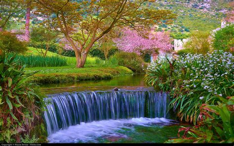 ninfa the most romantic garden in the world PDF