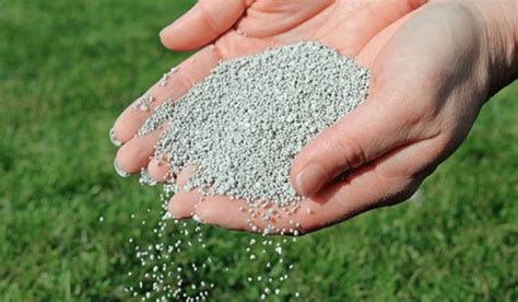 nitrogen phosphorus and potassium fertilizer