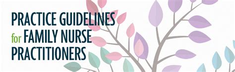nm nurse practitioner practice guidelines Epub