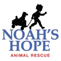 noah's hope animal shelter