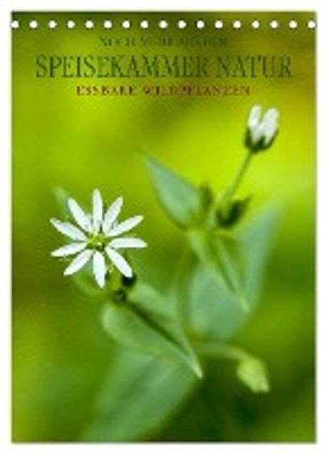 noch speisekammer naturch version tischkalender gesundheitsf rdernd Epub