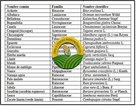 nombre cientifico de las plantas en colombia por orden alfabetico PDF