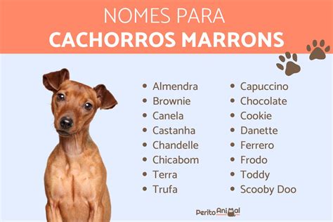 nomes para cachorros