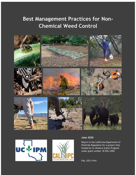 non chemical weed management non chemical weed management Kindle Editon