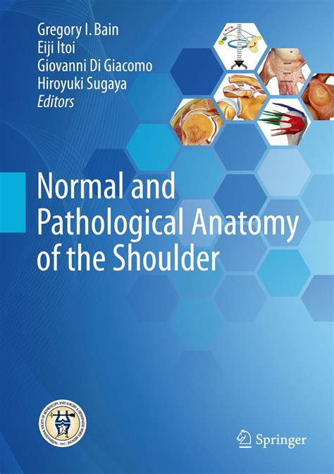 normal and pathological anatomy of the shoulder Epub