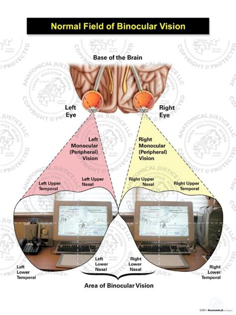 normal binocular vision normal binocular vision Reader