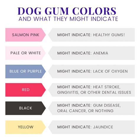 normal dog gum color chart