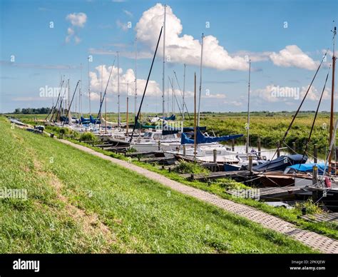 north holland from the shallows down to the ij Epub