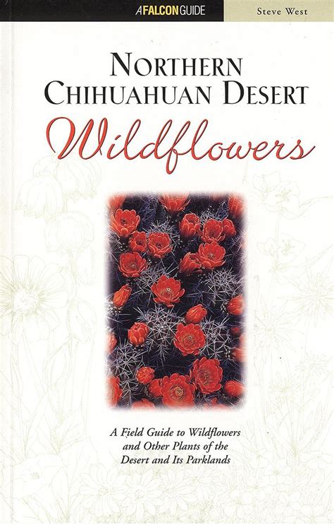 northern chihuahuan desert wildflowers wildflower series PDF