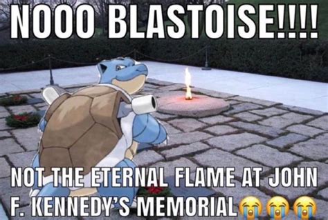 not now blastoise