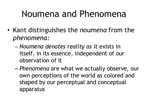 noumena definition