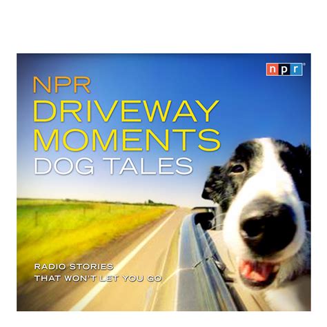 npr driveway moments dog tales radio stories that wont let you go Doc
