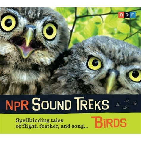 npr sound treks birds spellbinding tales of flight feather and song Reader