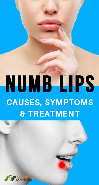 numb lip manual guide Epub