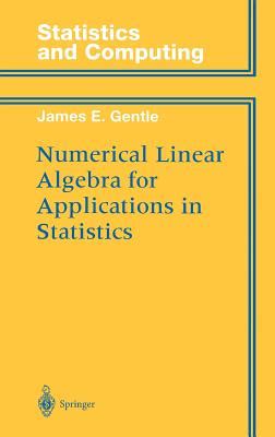 numerical linear algebra for applications in statistics statistics and computing PDF